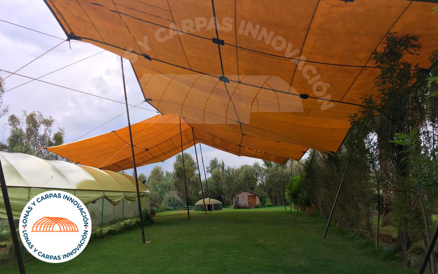 Carpas y Domos Innovacción