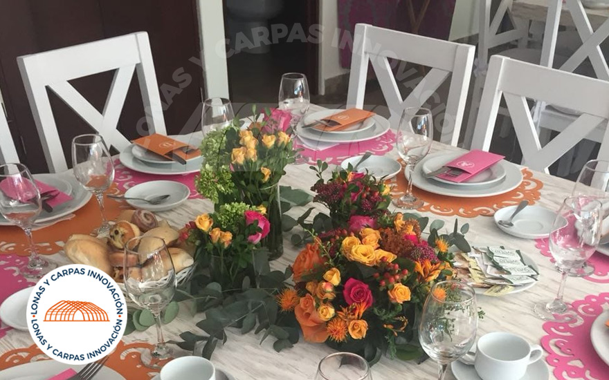 Carpas y Domos Innovacción